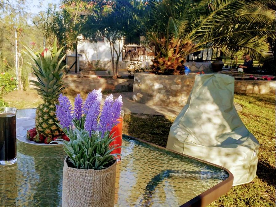 Chrisella Villa Skala Rachoni  エクステリア 写真