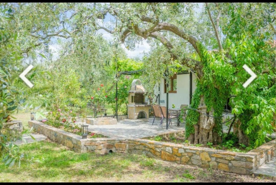 Chrisella Villa Skala Rachoni  エクステリア 写真