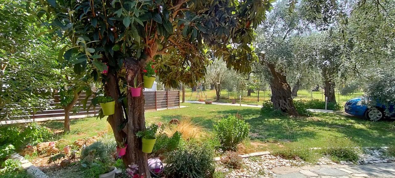 Chrisella Villa Skala Rachoni  エクステリア 写真
