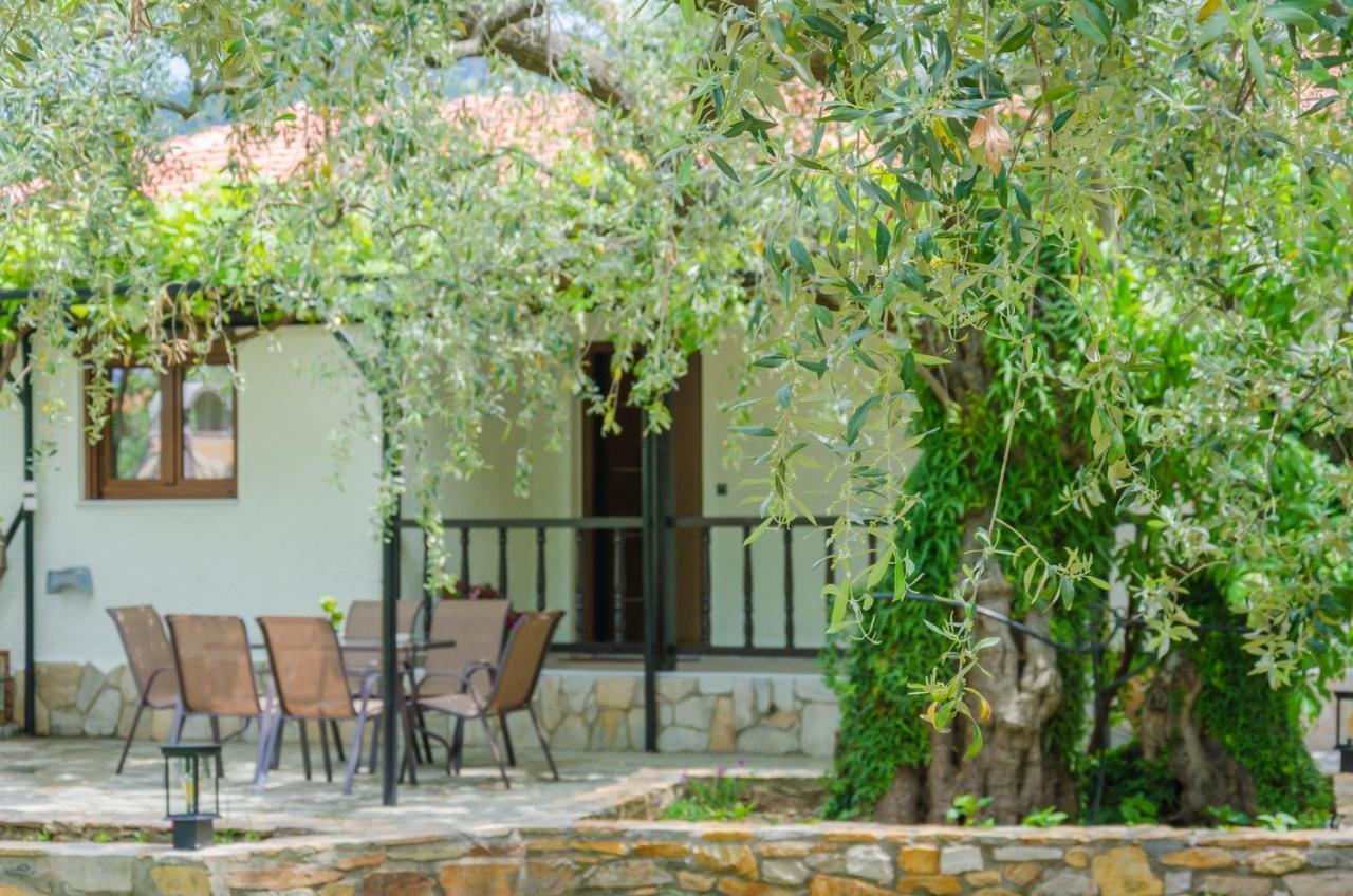 Chrisella Villa Skala Rachoni  エクステリア 写真