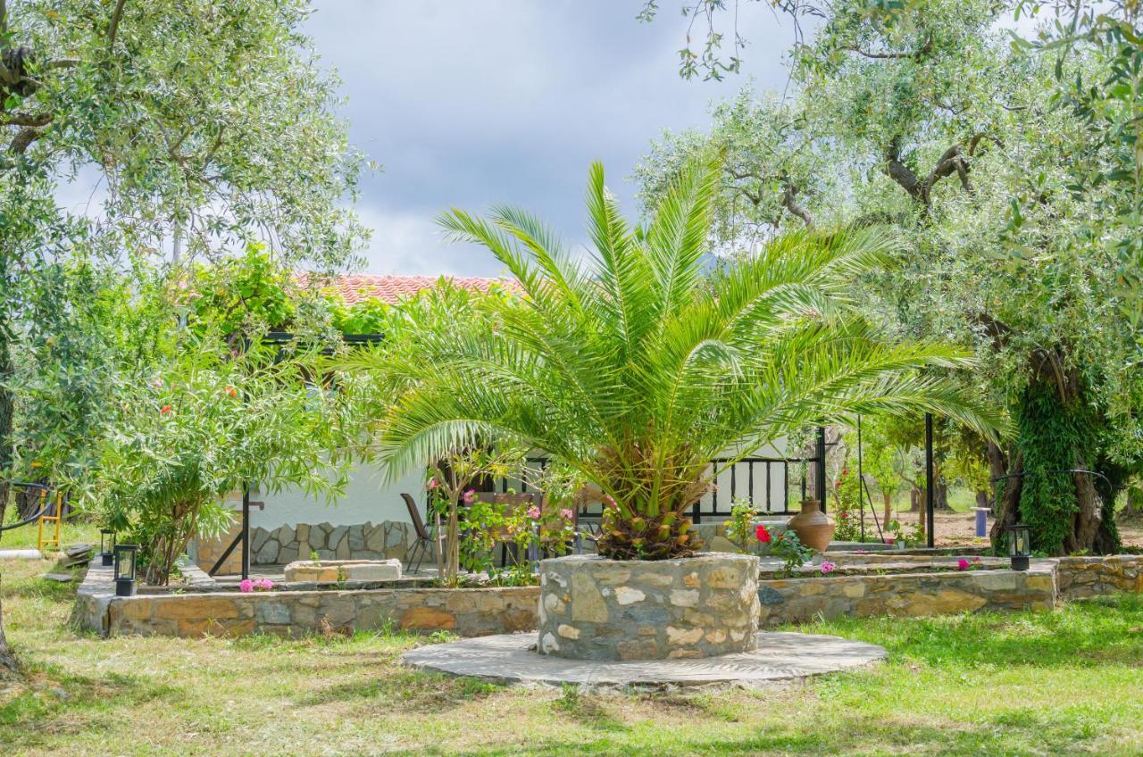 Chrisella Villa Skala Rachoni  エクステリア 写真