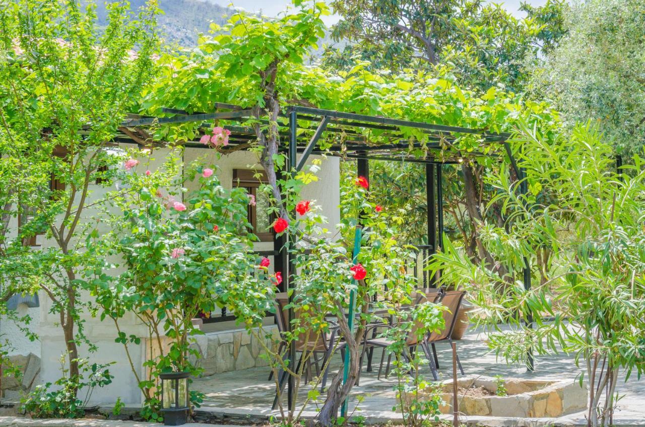 Chrisella Villa Skala Rachoni  エクステリア 写真